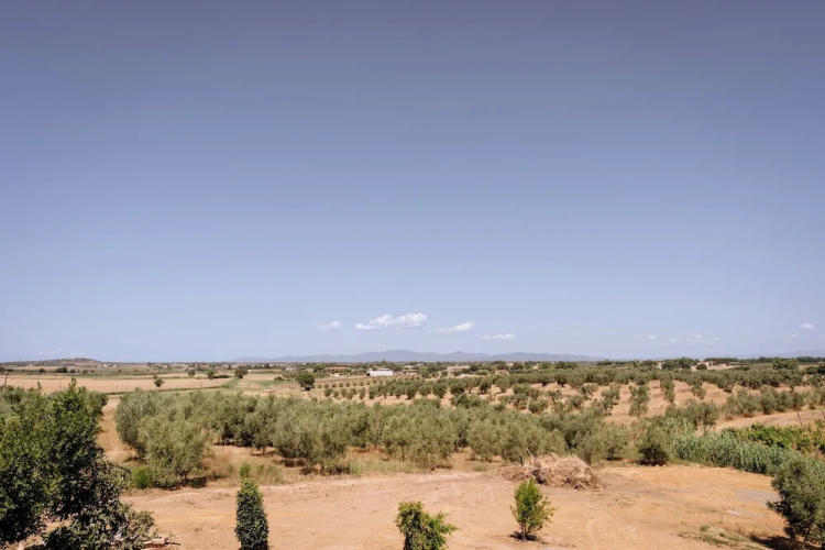 Villa Podere 109 - BioWine