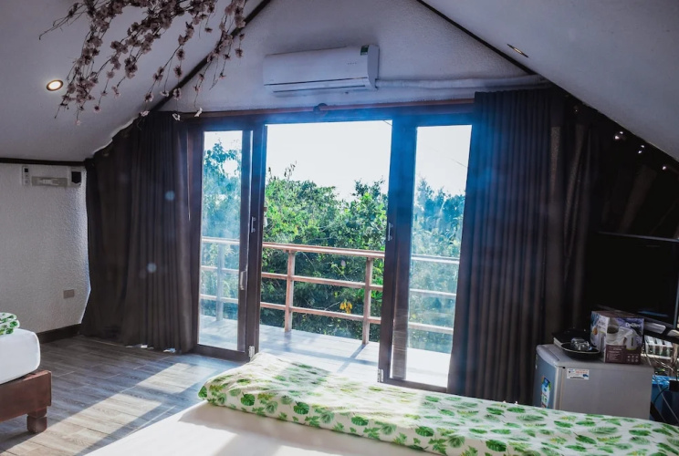 Sao Bien Cam Ranh