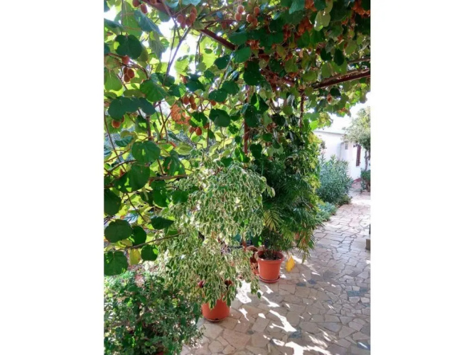 Apartment Gracijana 2
