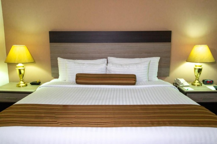 Standard Dog Friendly Double room
