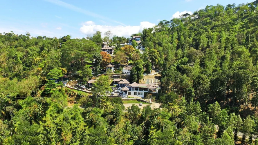 Cottage