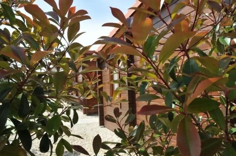 Bungalows Sol e Mar