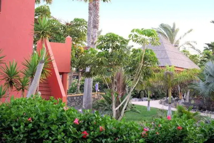 House Oasis Corralejo