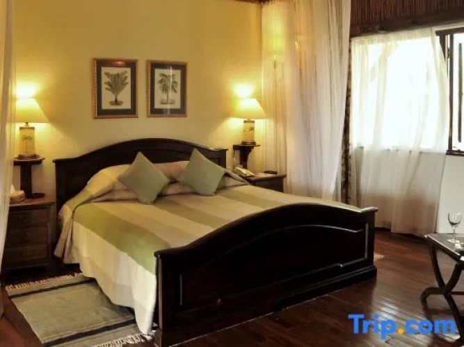 Executive Double Suite