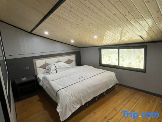 Standard Double Attic room