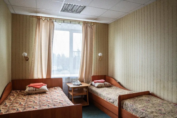 Фотография номера гостиницы Загородная