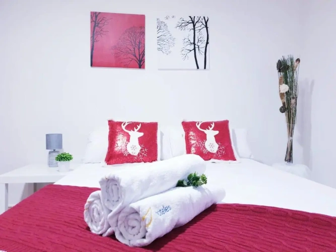 Standard Single room
