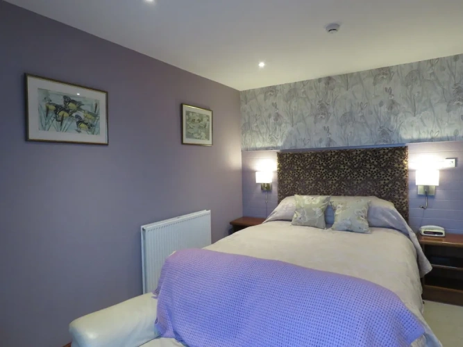 Standard Double room with balcony and with sea view