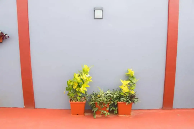 ODG Cotonou - Résidences Océan De Grâce