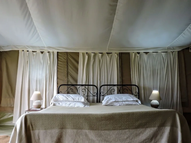 Tent