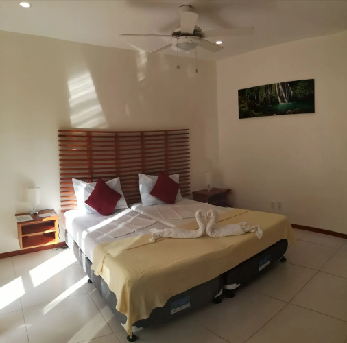 Quo Vadis Dive Resort Moalboal