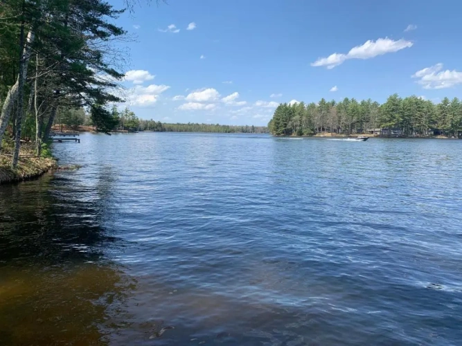 Cottage