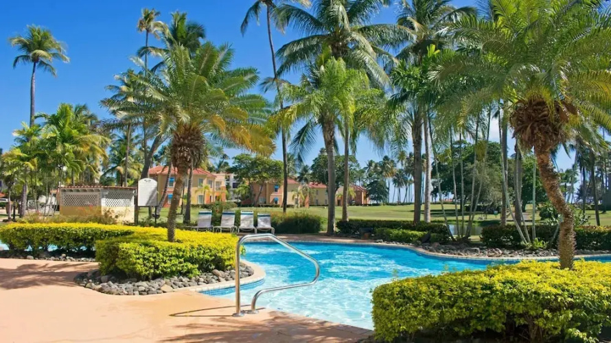 Palm View
