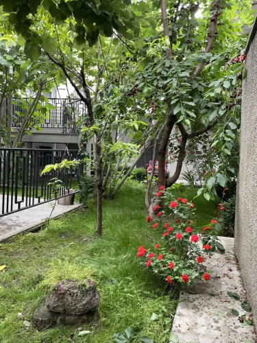 SM Apartment 1