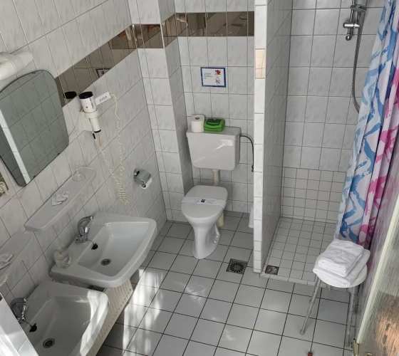 Business Double room
