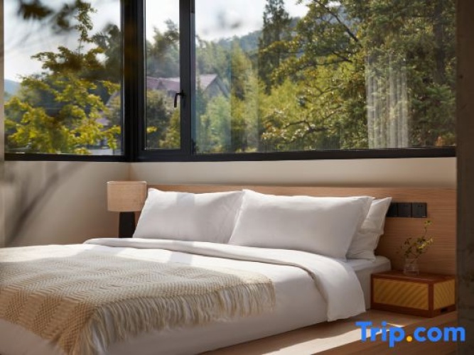 Standard Double room with mountain view