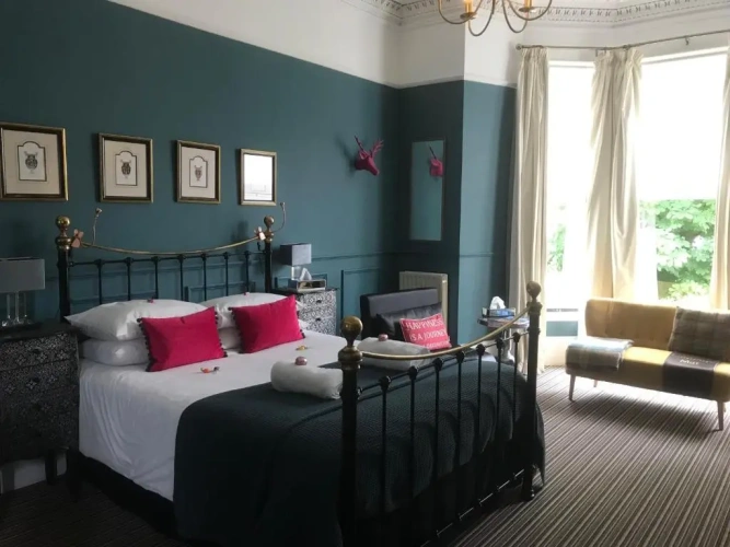 Superior Suite