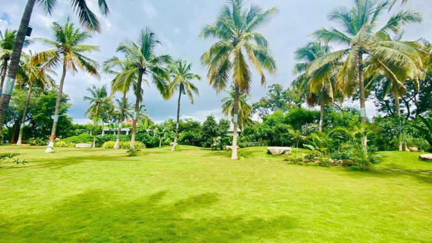 Narayani Revtree Resort and Villa