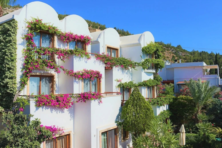 Image de l'hôtel