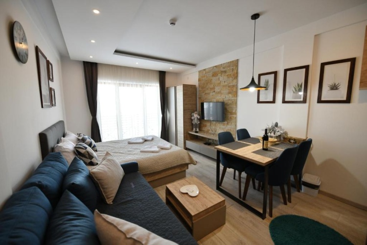 1 Bedroom Apartment