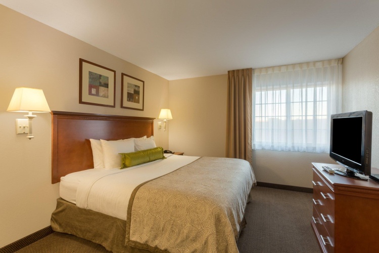 1 Bedroom Double Suite
