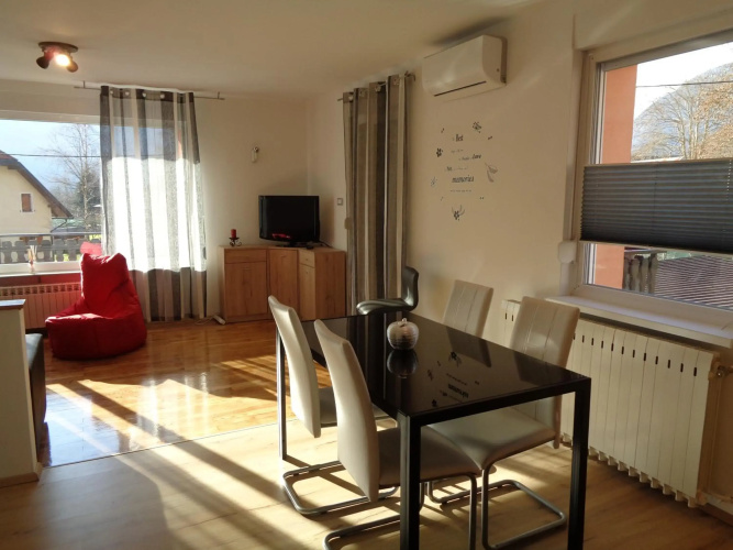 Apartment Japka