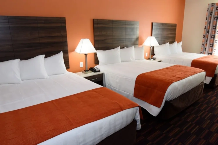 1 Bedroom Deluxe Triple room