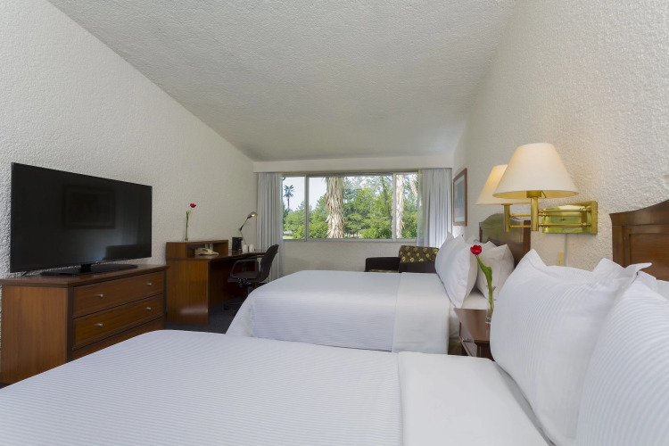 Gamma PachucaOver view