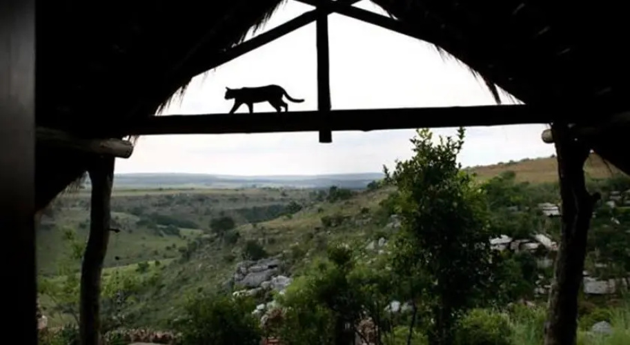 Nkwali Lodge
