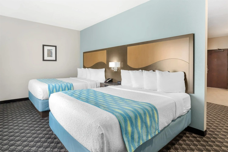 Quadruple Suite