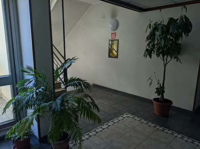 2 Bedrooms Classic Apartment