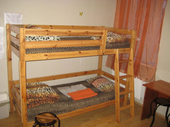 Tiger Hostel