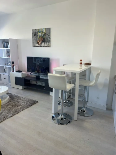 Luxury Apartment