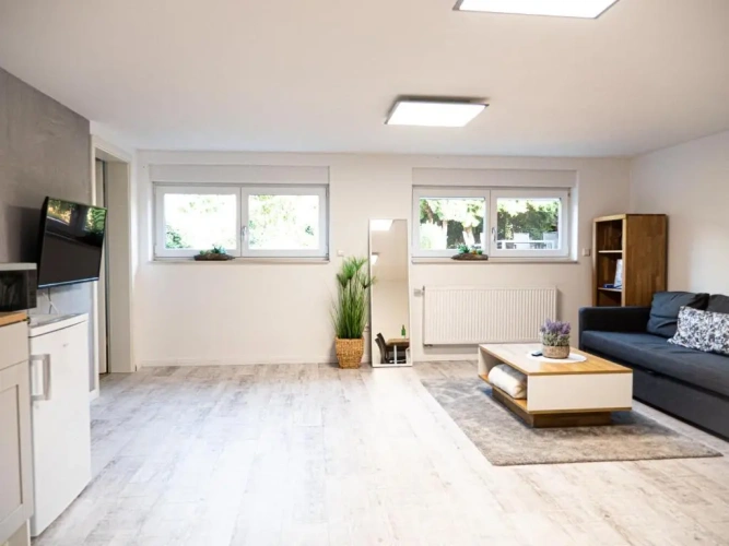 Deluxe Apartment