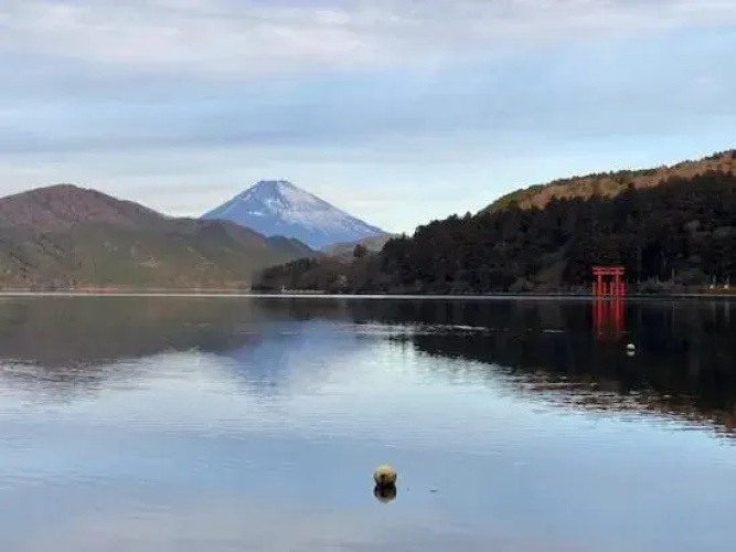 Hakone Leon