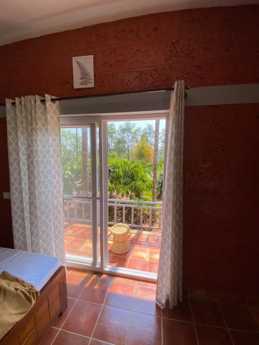 FernHills coorg
