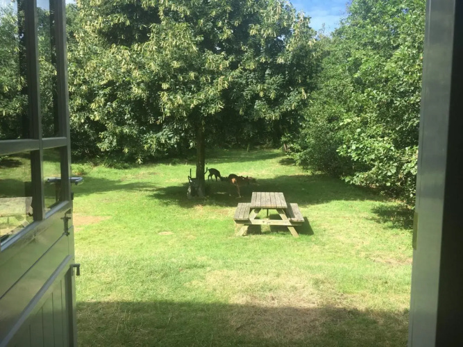 Vakantiehuis de Rommelpot