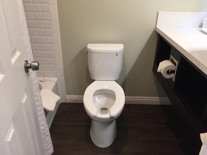 Pet Friendly Twin room