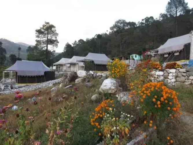 Camp Nirvana Yamunotri