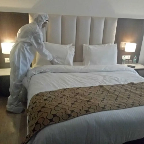 Deluxe Double room with view