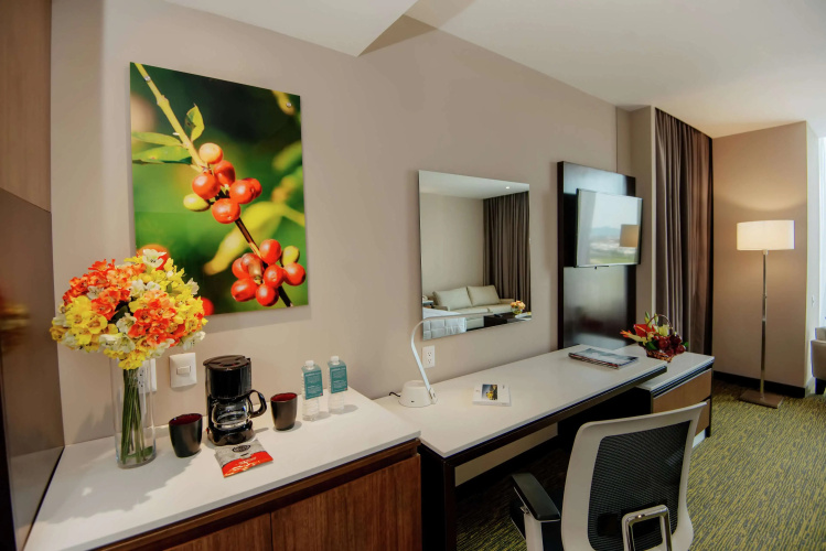 Hilton Garden Inn Puebla Angelópolis, Mexico