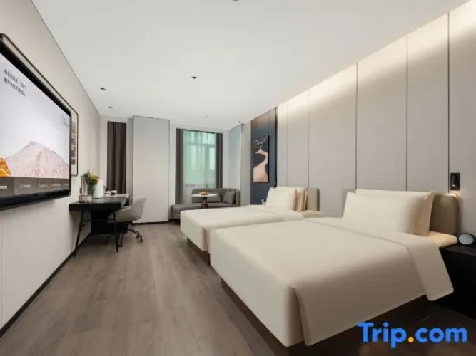 Executive Twin room