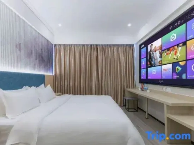 1 Bedroom Suite