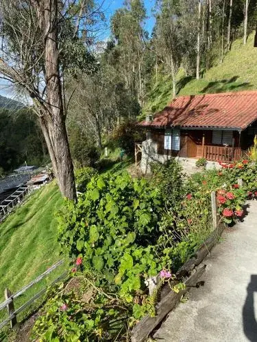 Cabañas Truchas Cocora