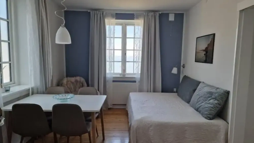 1 Bedroom Apartment