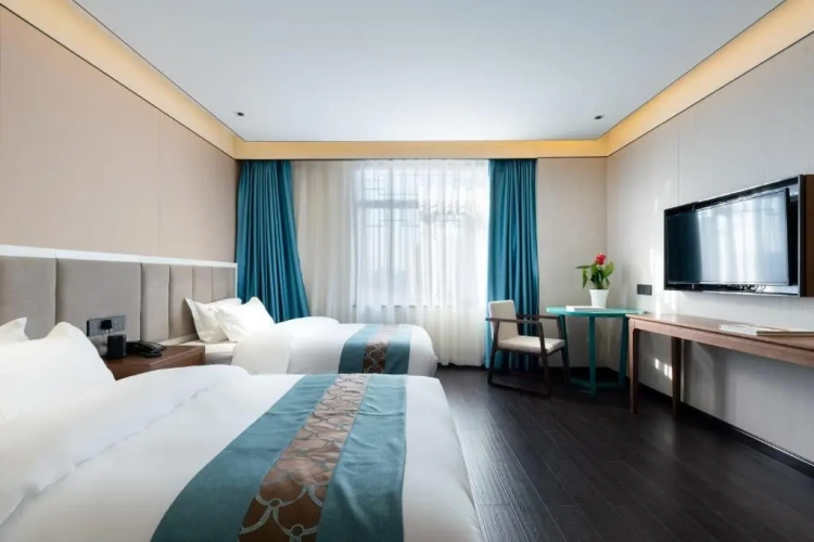 Deluxe Twin room with city view