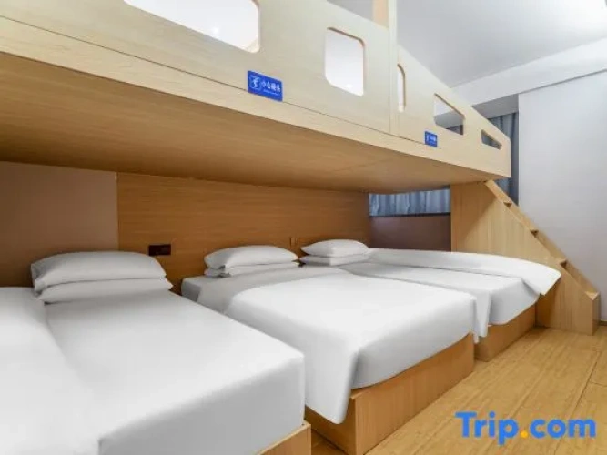 Bed in Dorm