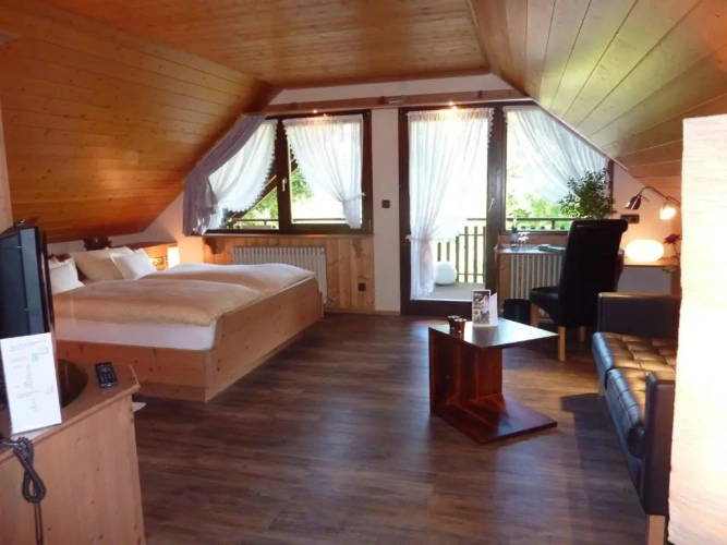 Double Penthouse Studio
