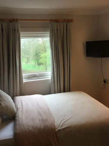 The Pines Hotel