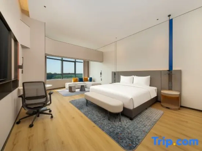 1 Bedroom Suite